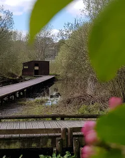 Severn Farm Pond Nature Reserve