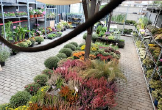 Soul Garden Kertészeti Áruda购物图片