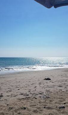 Pines Park-达纳点