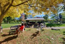 Taradale Mineral Springs Reserve景点图片