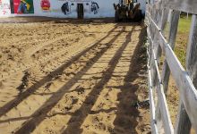 Parque Doutor Pedro nuto景点图片