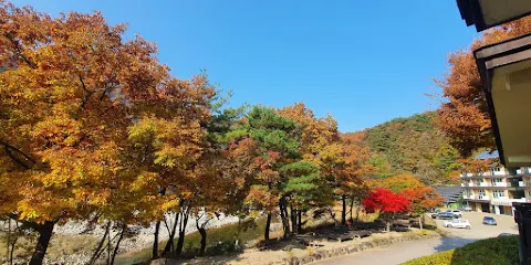 小仙巖自然修養林