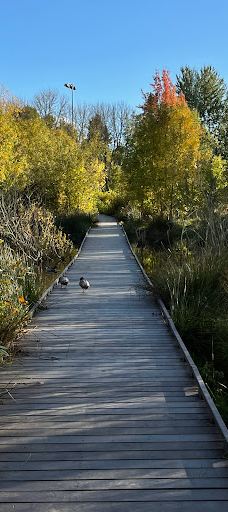 Bruce Starker Arts Park And Natural Area-科瓦利斯