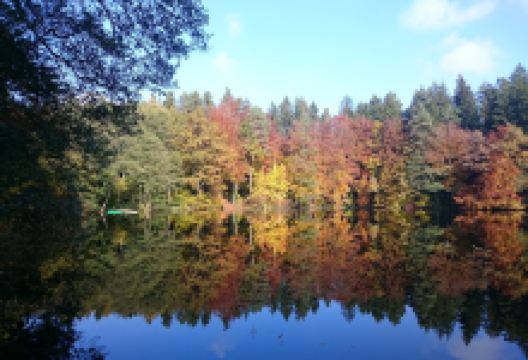 Jägerweiher Landscape Protection Area景点图片
