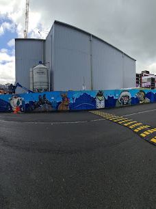 卡朗加黑皮路-奥克兰