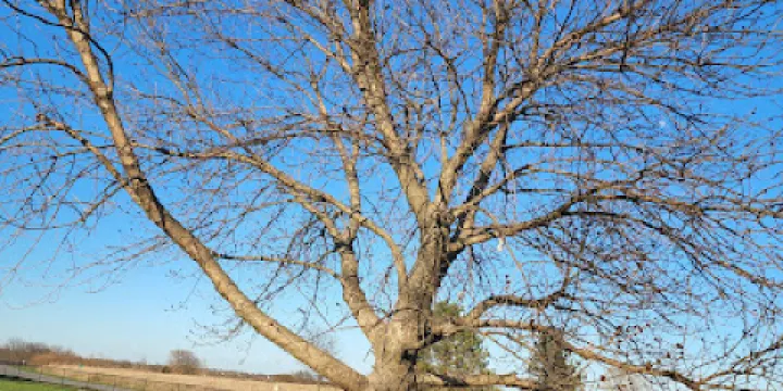 Heritage Park Dog Off-Leash Area