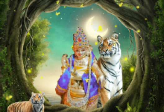 துர்க்கை அம்மன் கோவில் Durgai Amman Temple景点图片