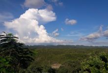 Eco Park景点图片