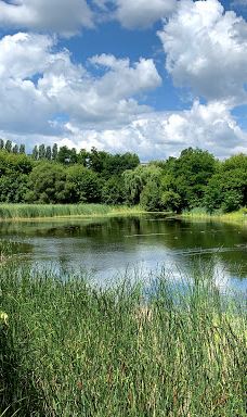 Park-Zhytomyrs'ka city council