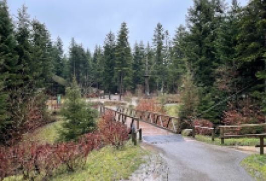 Accrobranche Center Parcs Les Trois Forêts景点图片