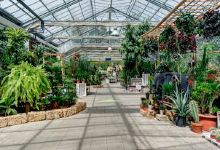 Lavaux Garden Center购物图片