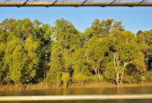 Adelaide River Foreshore Conservation Area景点图片