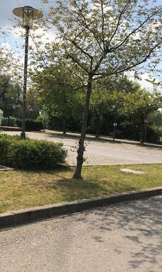 林巴赫－奥伯弗罗纳