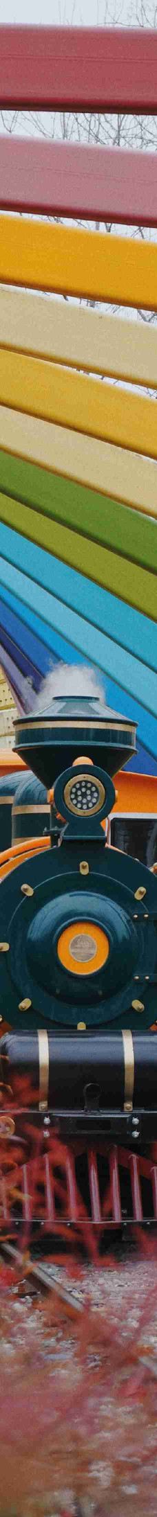 滨湖国家森林公园-合肥-江然凌