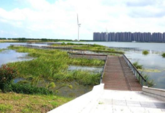 黄金海滩景区九曲栈道景点图片