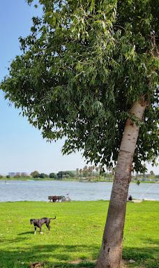 Menachem Begin Park-特拉维夫