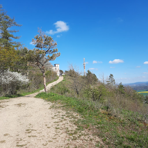 Großer Hörselberg