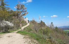 Großer Hörselberg餐厅图片