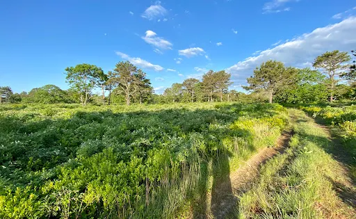 Long Point Wildlife Refuge