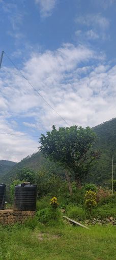 Camp Spring Wood Rest Resort-佐吉马拉