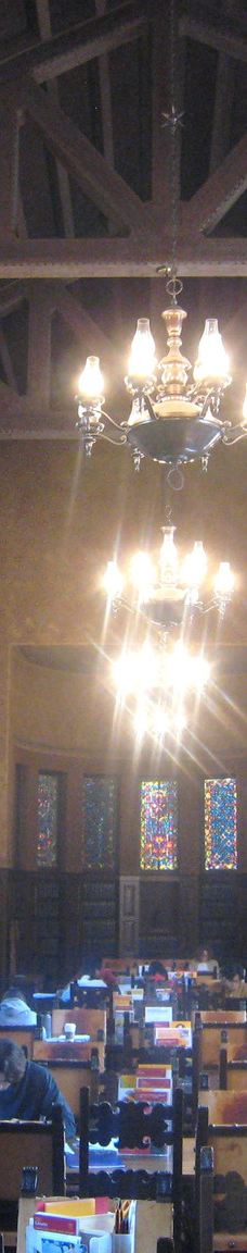 南加州大学-洛杉矶