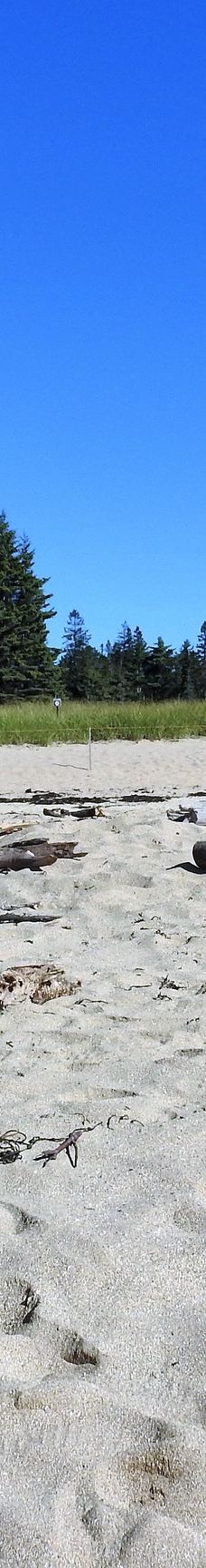 阿科底亚国家公园-沙山