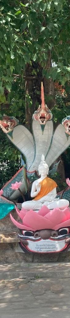 肉身舍利寺-苏梅岛