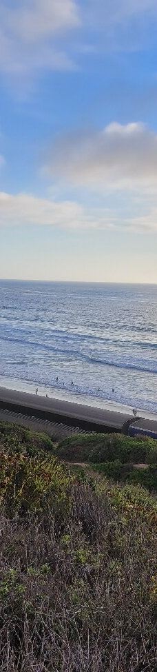 多利松国家自然保护区-佐拉