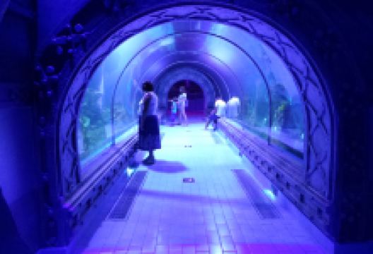 古尔代盖水族馆景点图片