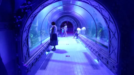 古爾代蓋水族館