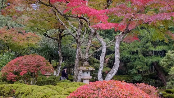 那谷寺（公式）