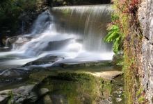Aberdulais Tin Works & Waterfall景点图片