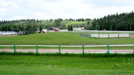 Whitemud Equine Learning Centre Association