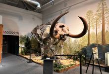 Brevard Museum of History and Natural Science景点图片