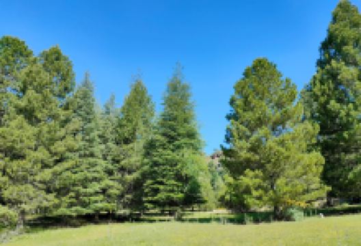 韦托尔山脉景点图片