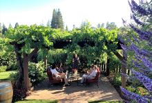 Dutton Estate Winery景点图片