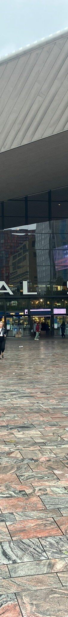 鹿特丹中央车站-鹿特丹