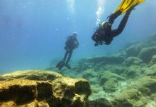 Herbies Diving Paradise购物图片