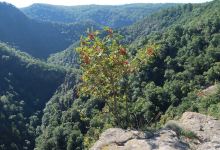 罗斯特拉珀山景点图片