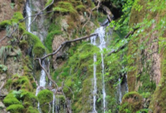 Grotta dello Scalandrone景点图片