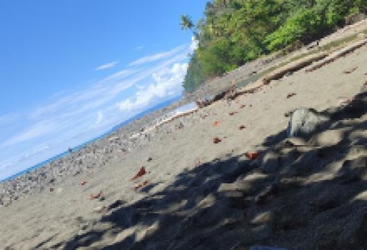 Caña Blanca, CR景点图片