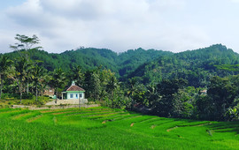 WARUNG KOPI BU MARSINAH