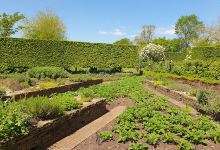 The Manor House Ayot St Lawrence景点图片