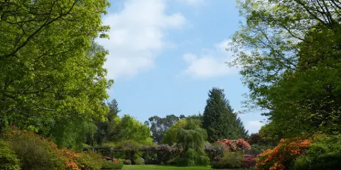 約翰‧甘迺迪植物園