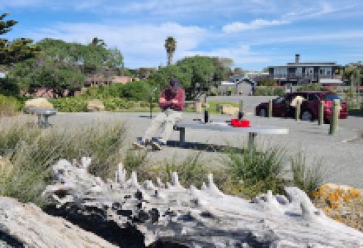 Te Awanga Domain景点图片