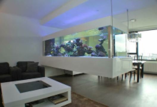 Aqua Luxury购物图片