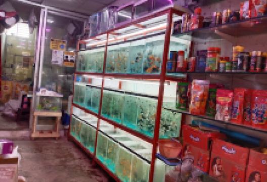 Spider Aquarium & Pet Gallery购物图片