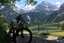 Fredy's Bikewalt购物图片