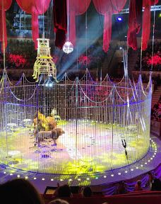 奇尼塞利马戏团-圣彼得堡