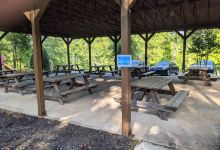 Dog Woods at Coleman Camp Park景点图片